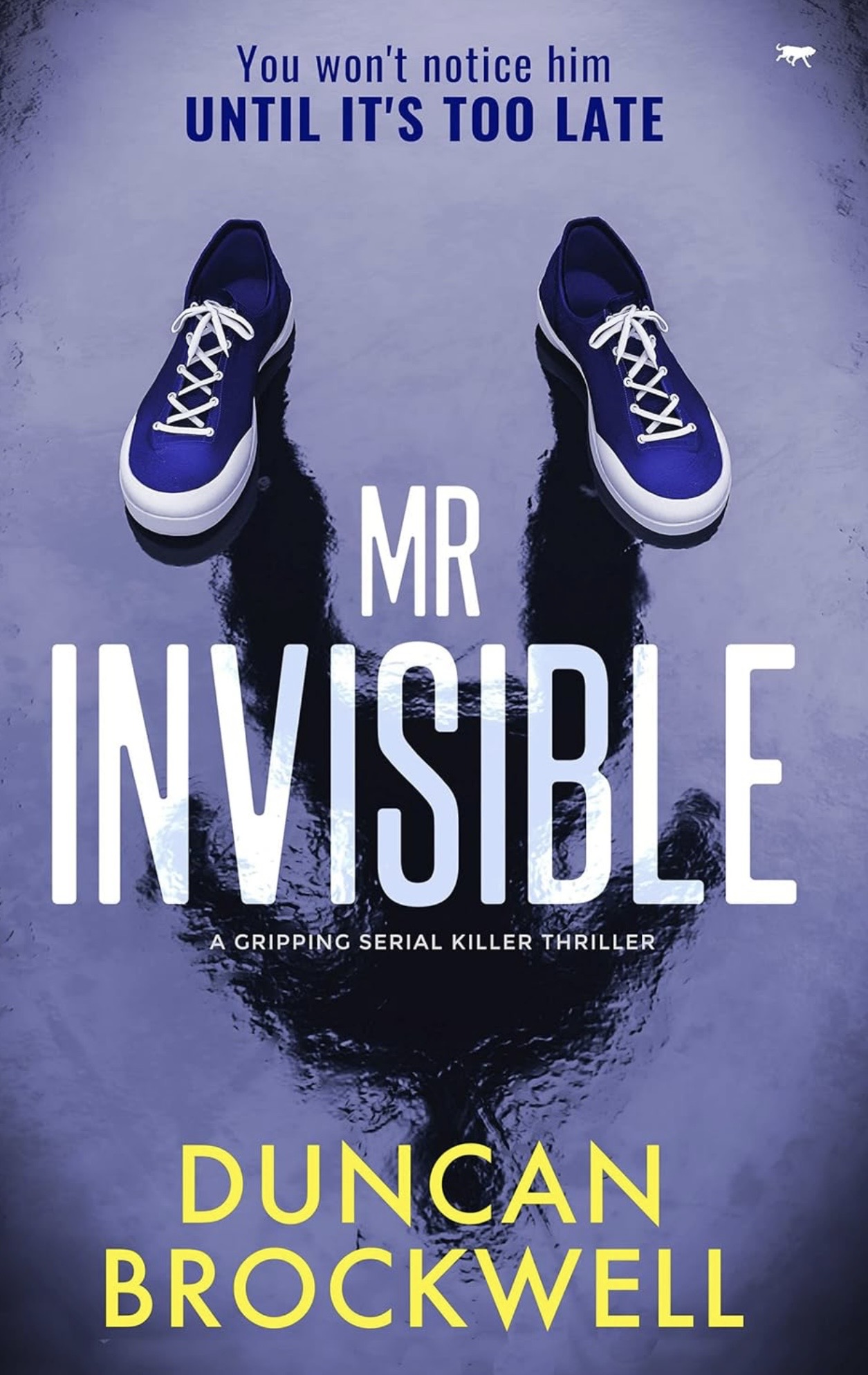 Mr Invisible